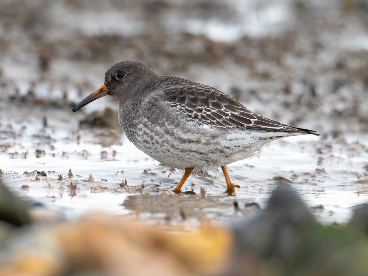 Needs Ore Newsletter – Spring&nbsp;2022