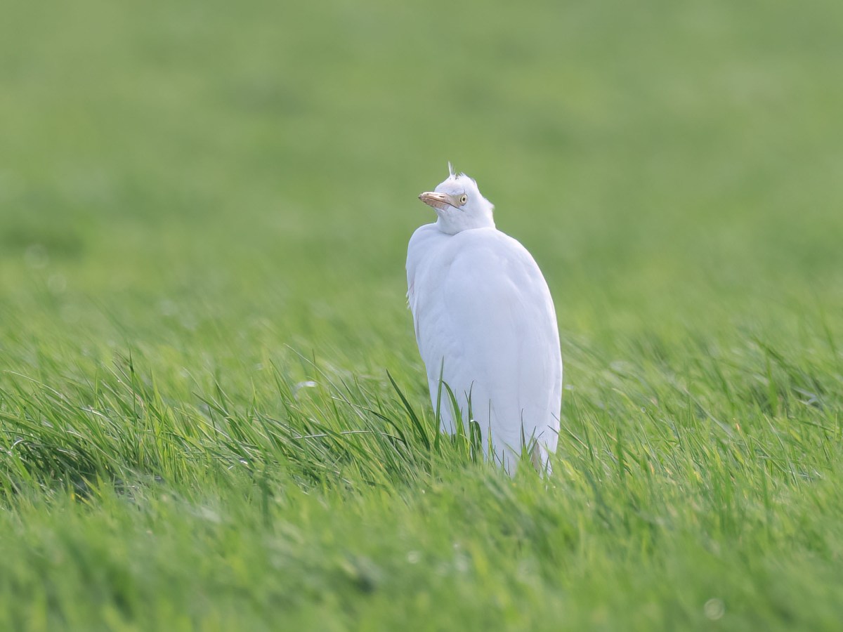 Thursday 17th February&nbsp;2022