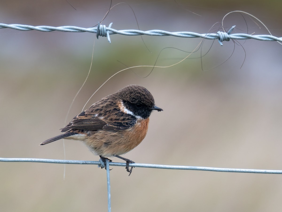 Thursday 27th January&nbsp;2022