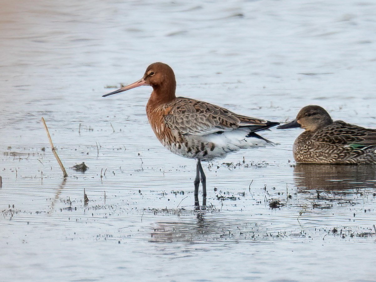 March 5th to 9th&nbsp;2022