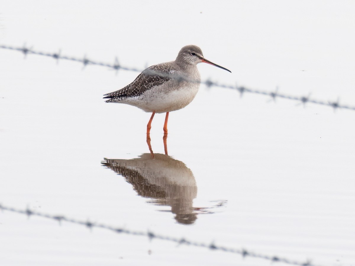 Thursday 10th February&nbsp;2022
