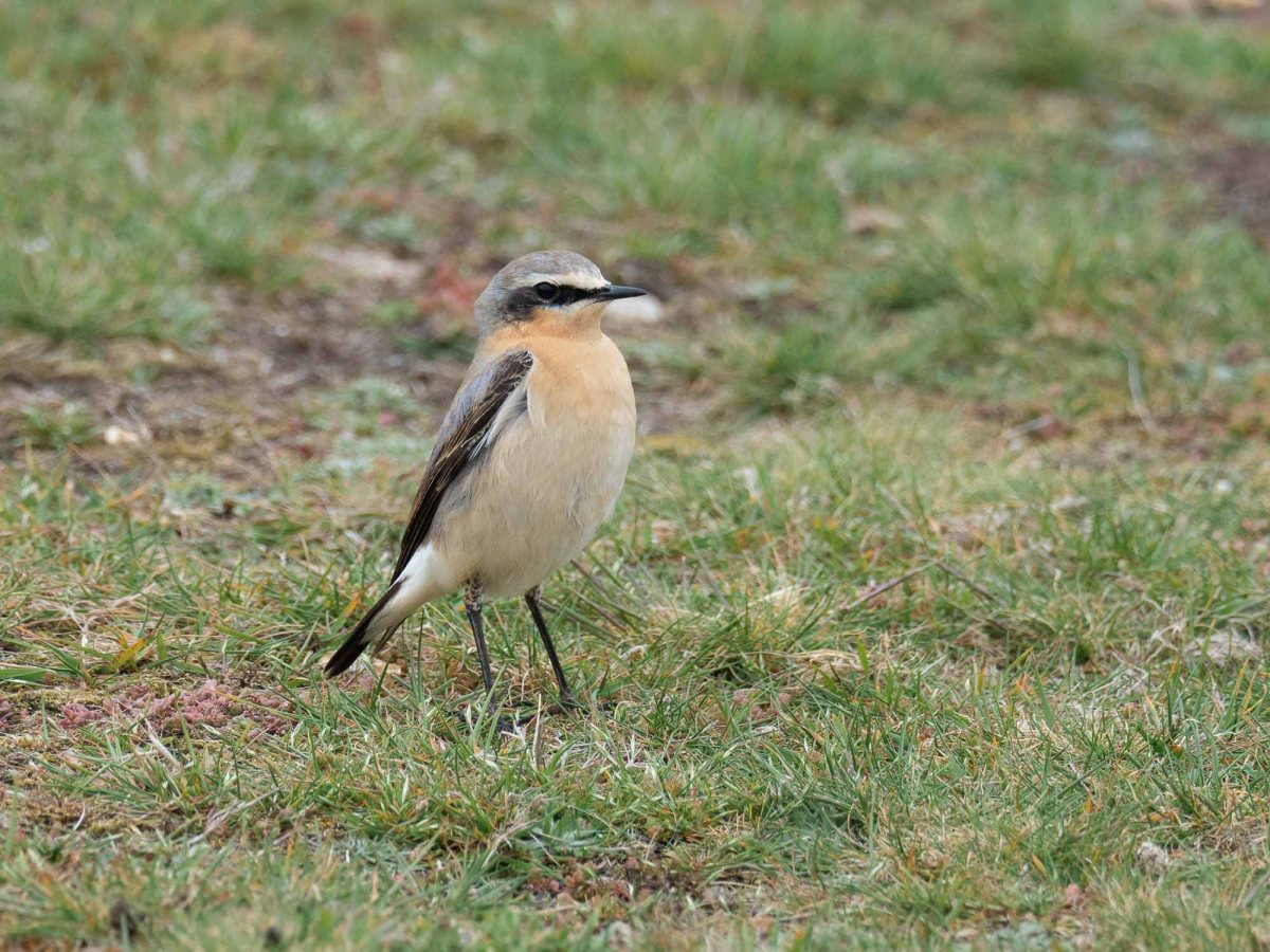 April 20th to 27th&nbsp;2022