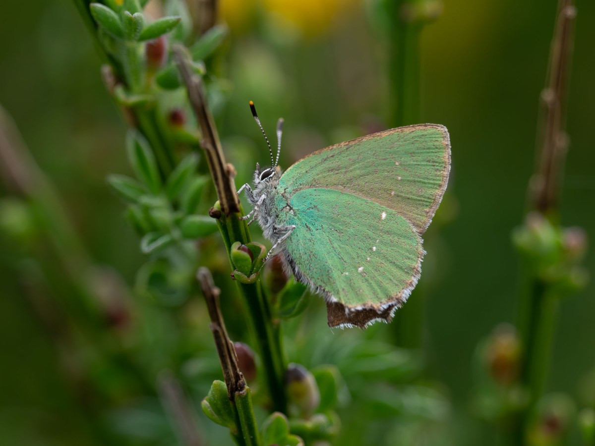 May 6th to 17th&nbsp;2022