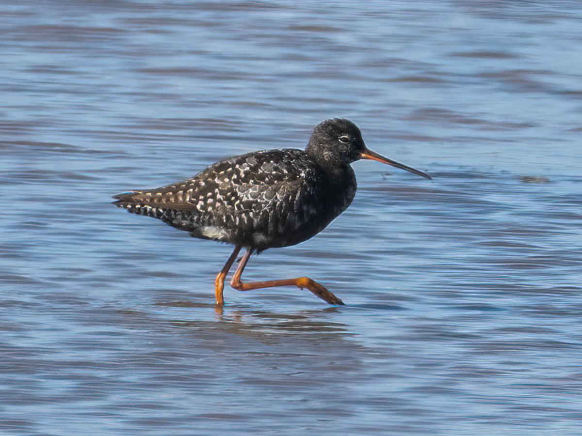 Needs Ore Newsletter – Autumn&nbsp;2023